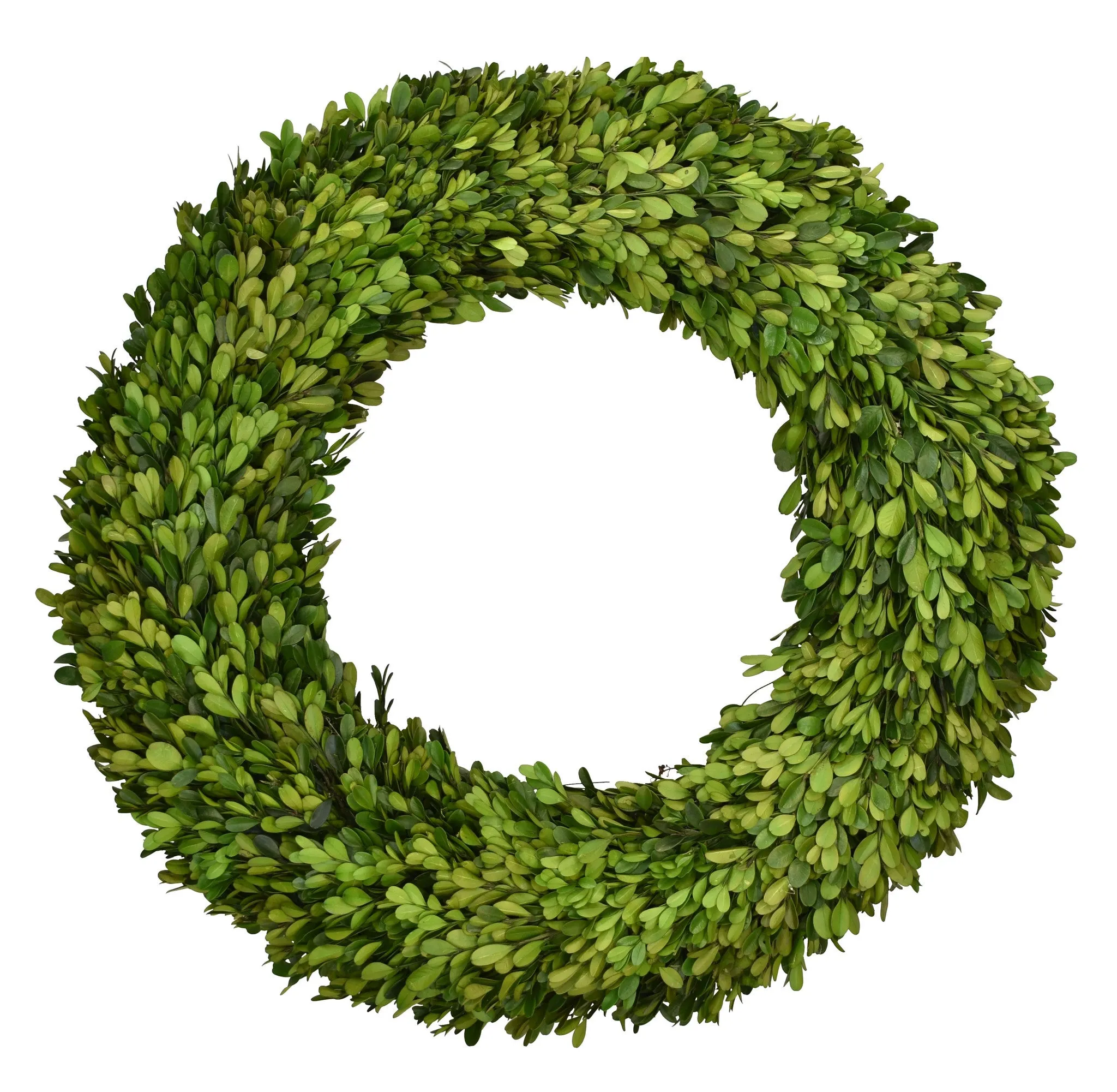 20" Preserved Boxwood Country Manor Wreath