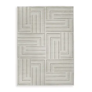 Signature Design by Ashley Darmondard R406942 Medium Rug